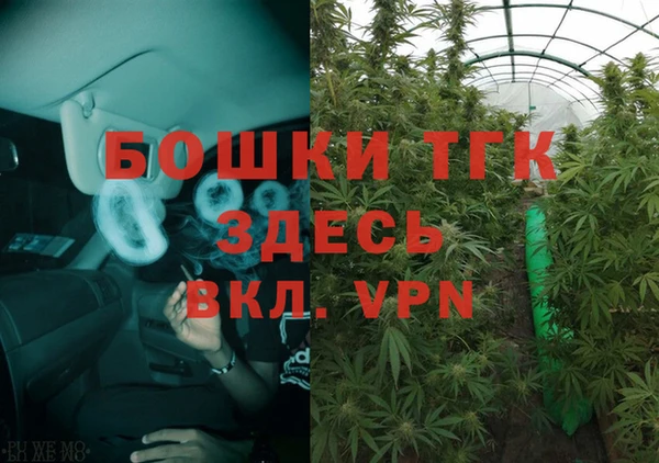 молекула духа Новодвинск